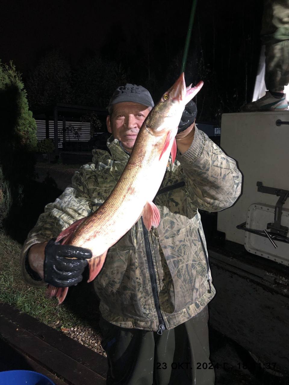 Зарыбление основного водоема Щукой Зарыбление основного водоема Щукой